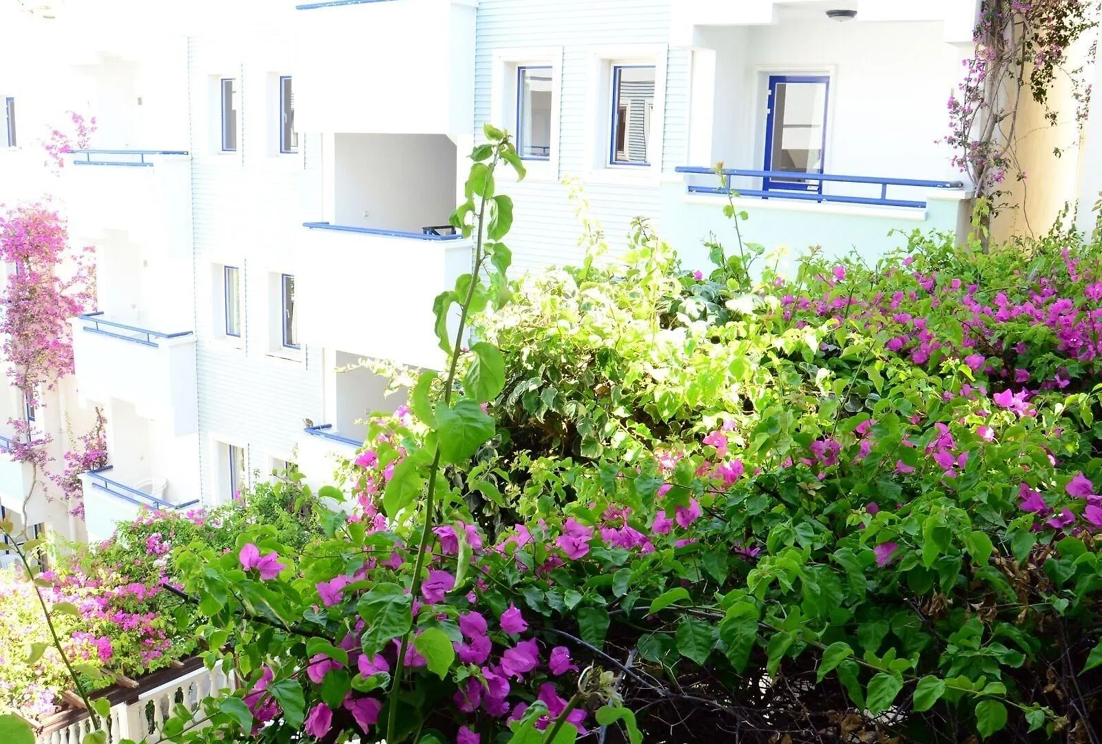 Sunpoint Hotel Bodrum Gumbet 3*,  Turkey